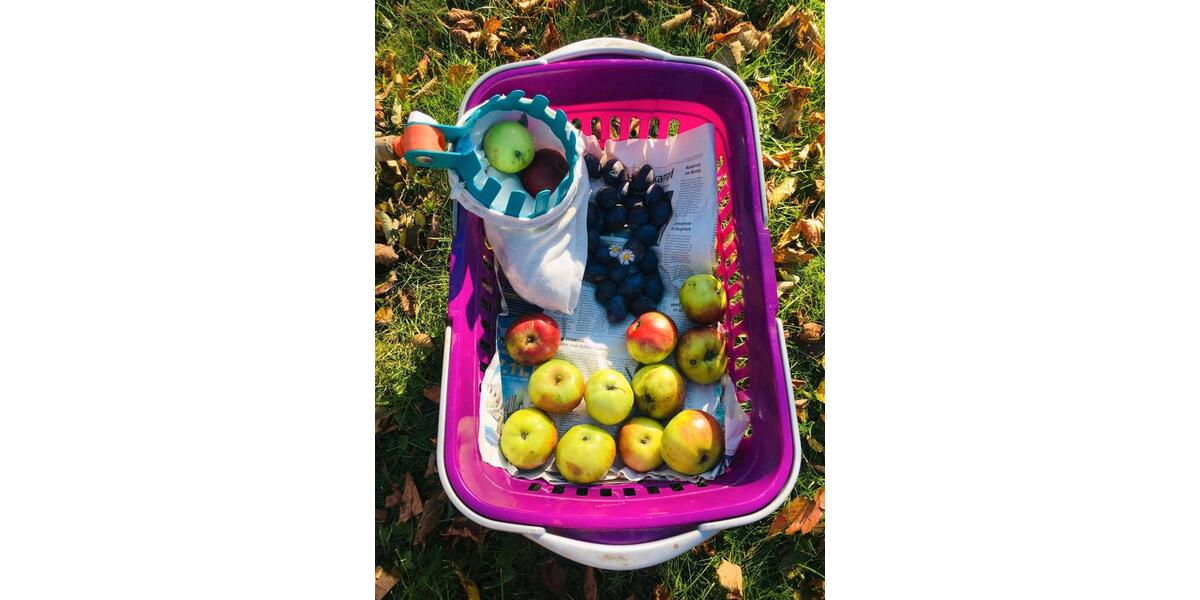 Mehrfamilienhaus, Wohnhaus Gefell - 12 Zimmer, 300 m&sup2;, 370.000&euro; | Angebot:25803486