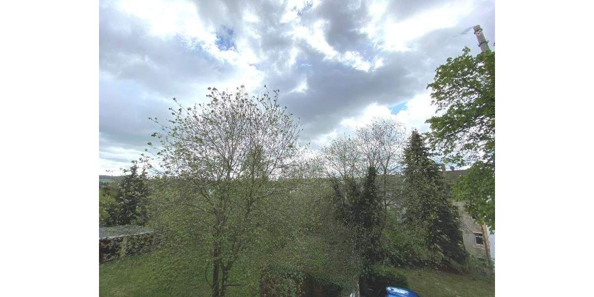 Etagenwohnung Plauen Hammervorstadt - 2 Zimmer, 61 m&sup2;, 280&euro; | Angebot:25691960