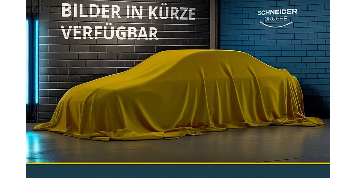 Renault Austral 55.000 km 32.890 &euro; Hof 95030