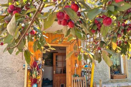 Haus Gefell - 14 Zimmer, 300 m&sup2;, 350.000&euro; | Angebot:26869208