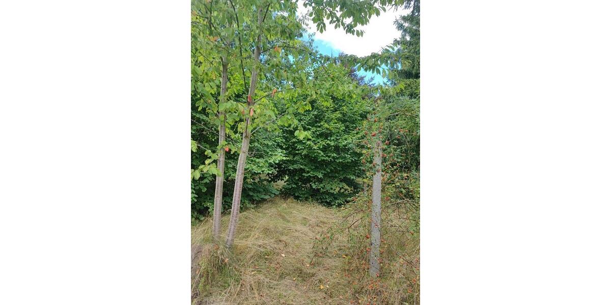 Mehrfamilienhaus, Wohnhaus Tanna - 7 Zimmer, 180 m&sup2;, 62.500&euro; | Angebot:25543043