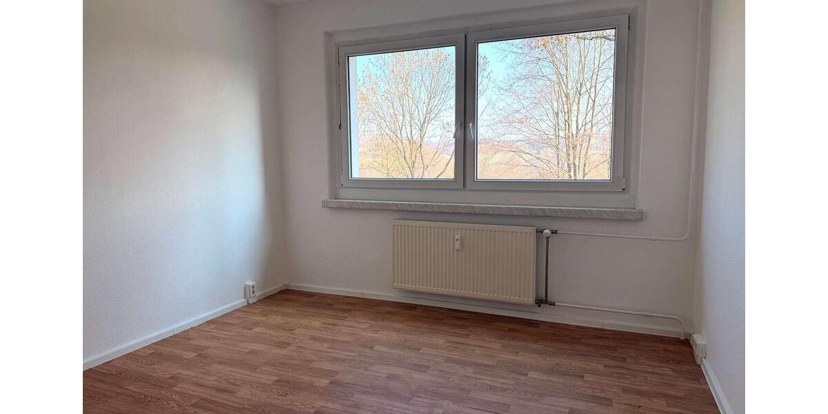 Etagenwohnung Plauen Alt Chrieschwitz - 2 Zimmer, 41 m&sup2;, 280&euro; | Angebot:25753376