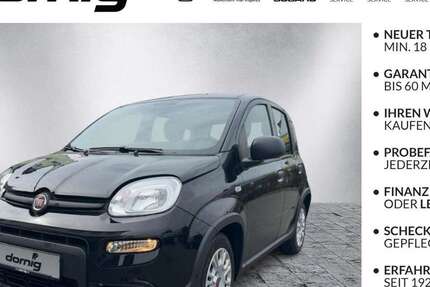 Fiat Panda 32.580 km 10.880 &euro; Helmbrechts 95233