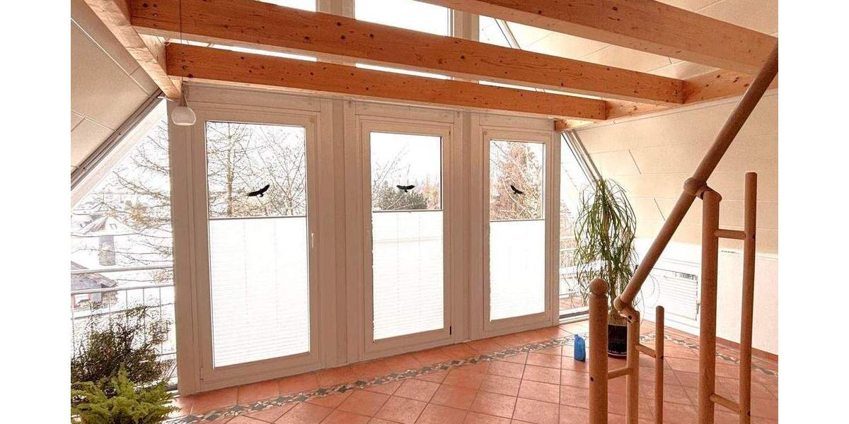 Mehrfamilienhaus, Wohnhaus Marktleugast - 1 Zimmer, 253 m&sup2;, 369.000&euro; | Angebot:25665688