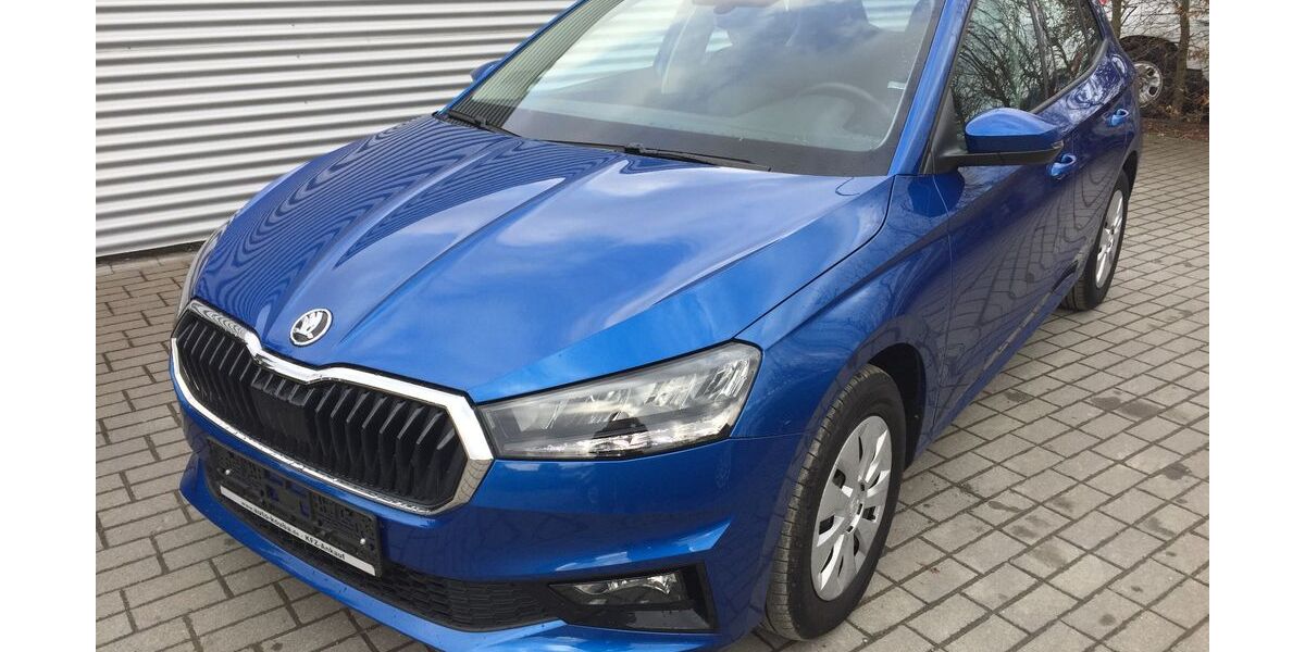 Skoda Fabia 16.867 km 15.990 &euro; Plauen 08527