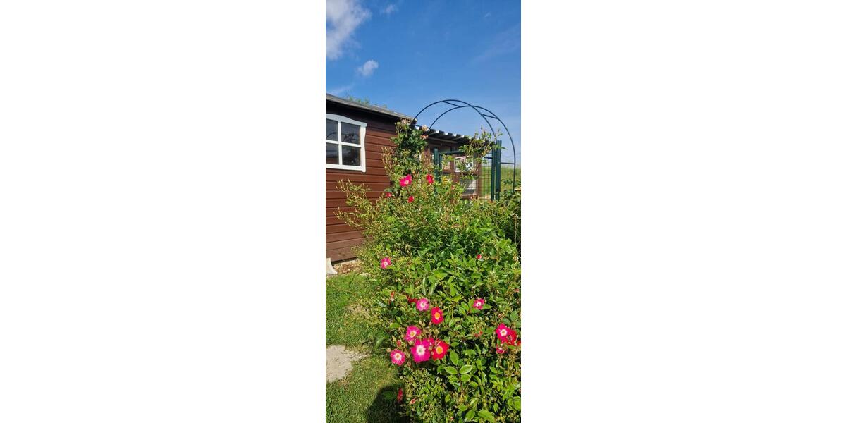 Etagenwohnung Gefell - 6 Zimmer, 180 m&sup2;, 390&euro; | Angebot:26020431