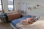 Doppelhaushälfte Plauen Reißig - 6 Zimmer, 141 m&sup2;, 329.000&euro; | Angebot:26875319