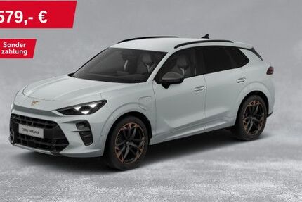 Cupra Terramar 18.061 km 43.930 &euro; Hof 95030