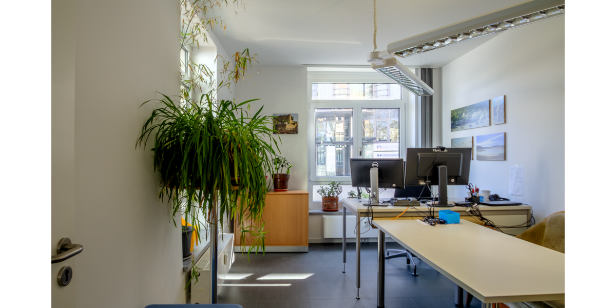 Gewerbeobjekt Hof Altstadt - 270.000&euro; | Angebot:26313278
