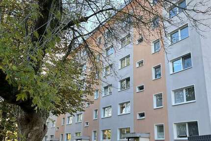 Wohnung Plauen Chrieschwitz - 3 Zimmer, 69 m&sup2;, 414&euro; | Angebot:23619567