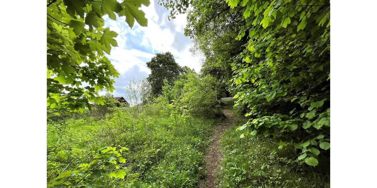 Grundstück Nordhalben - 29.000&euro; | Angebot:25734049