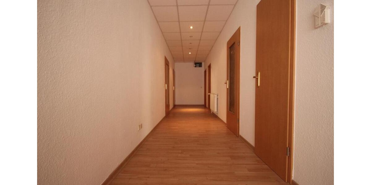 Etagenwohnung Plauen - 4 Zimmer, 120 m&sup2;, 800&euro; | Angebot:25137415