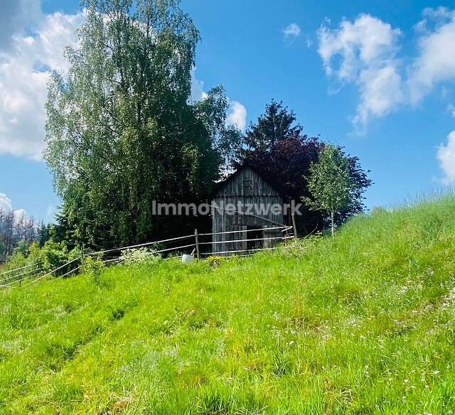 Einfamilienhaus Schwarzenbach am Wald / Meierhof Meierhof - 8 Zimmer, 240 m&sup2;, 210.000&euro; | Angebot:25824296