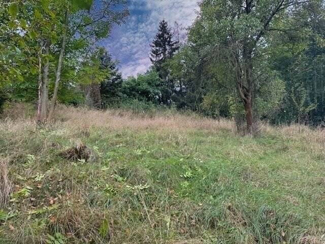 Einfamilienhaus Bösenbrunn - 5 Zimmer, 139 m&sup2;, 180.000&euro; | Angebot:25662030