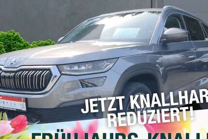 Skoda Kodiaq 82.174 km 36.870 &euro; Naila 95120