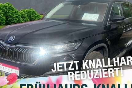 Skoda Kodiaq 109.694 km 31.870 &euro; Naila 95119