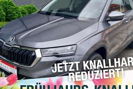 Skoda Karoq 38.100 km 24.170 &euro; Naila 95119
