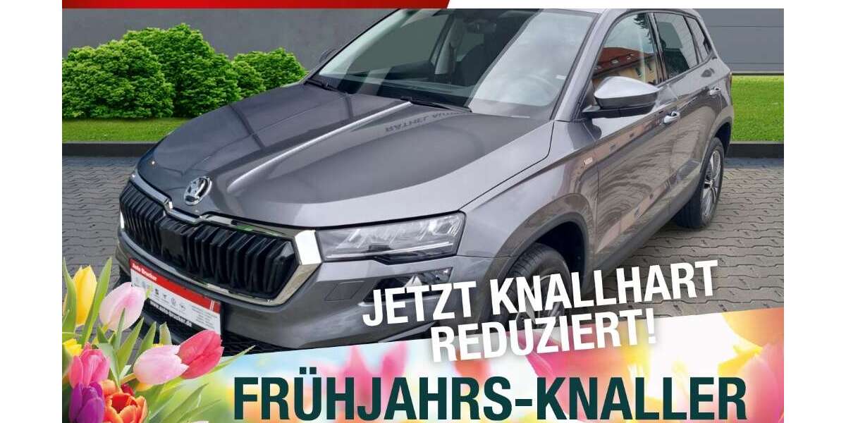 Skoda Karoq 38.100 km 24.170 &euro; Naila 95119