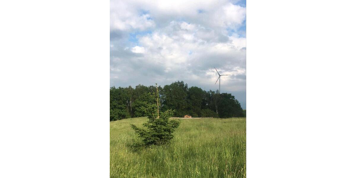 Mehrfamilienhaus, Wohnhaus Gefell - 12 Zimmer, 300 m&sup2;, 370.000&euro; | Angebot:25803486