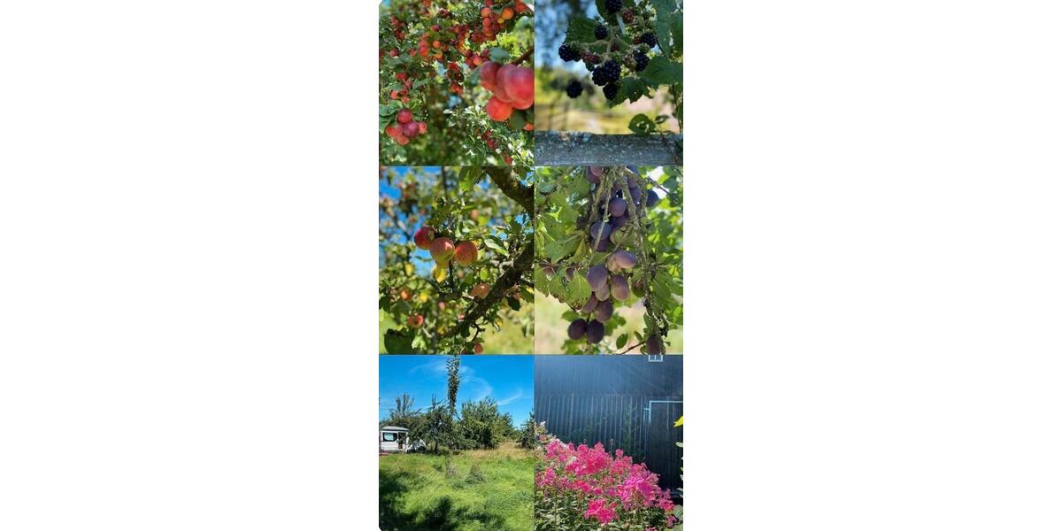 Bauernhaus, Landhaus Konradsreuth - 12 Zimmer, 500 m&sup2;, 299.000&euro; | Angebot:26226229