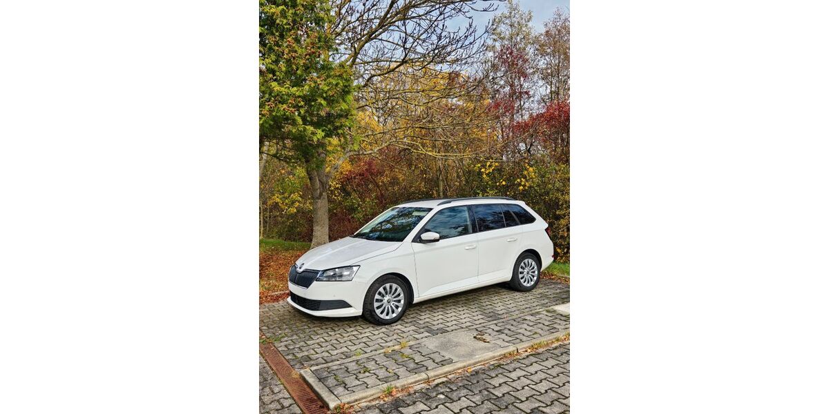Skoda Fabia 229.000 km 6.490 &euro; Hof 95032
