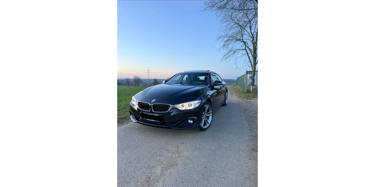 BMW 420 Gran Coupé 120.895 km 14.499 &euro; Hof 95032