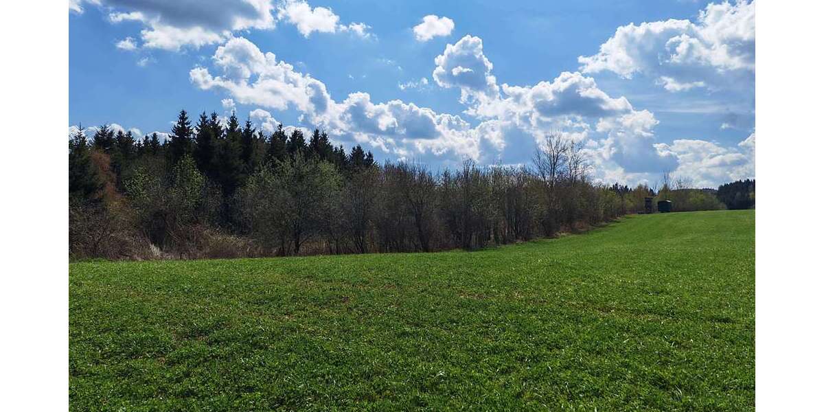 Grundstück Helmbrechts - 26.000&euro; | Angebot:26753441
