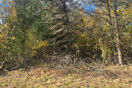 Grundstück Adorf/Vogtland Vogtland - 45.000&euro; | Angebot:21425945