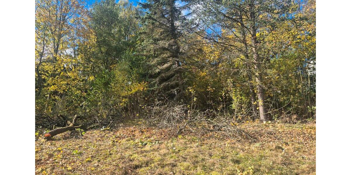 Grundstück Adorf/Vogtland Vogtland - 45.000&euro; | Angebot:21425945