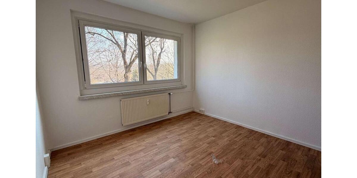 Etagenwohnung Plauen Alt Chrieschwitz - 2 Zimmer, 41 m&sup2;, 280&euro; | Angebot:25753376