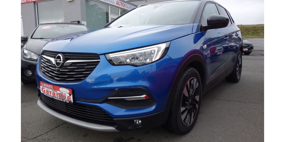 Opel Grandland (X) 23.800 km 12.990 &euro; Hof 95030