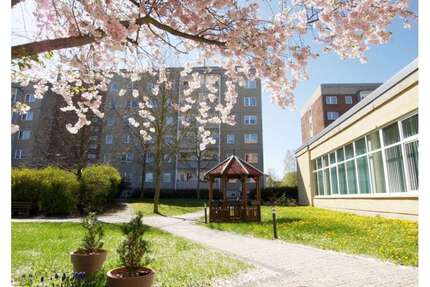 Wohnung Plauen Chrieschwitz - 2 Zimmer, 51 m&sup2;, 344&euro; | Angebot:23755842