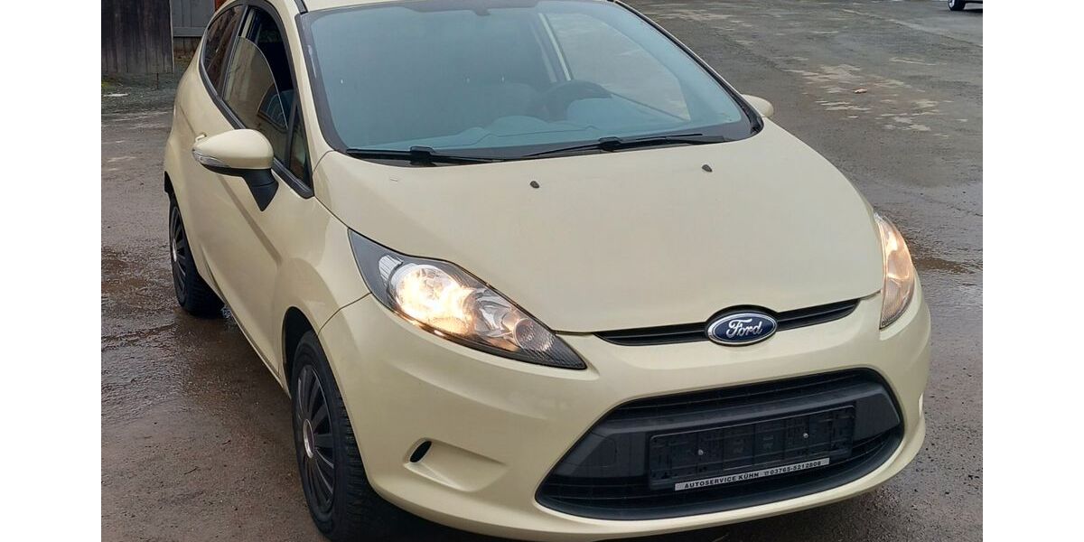 Ford Fiesta 142.299 km 3.500 &euro; Weischlitz 08538