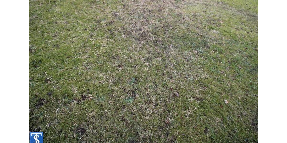 Etagenwohnung Plauen Bahnhofsvorstadt - 2 Zimmer, 46 m&sup2;, 230&euro; | Angebot:24183246