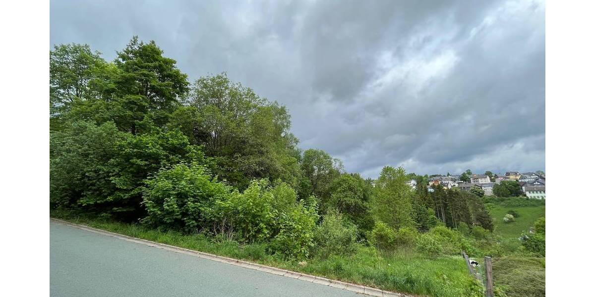 Grundstück Nordhalben - 29.000&euro; | Angebot:25734049