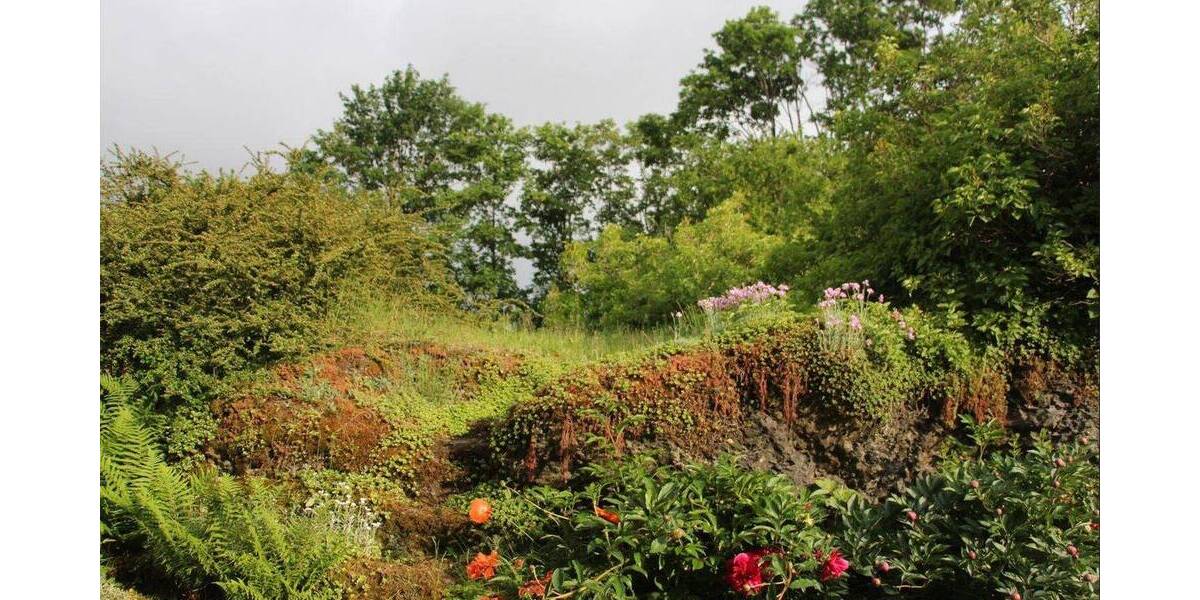 Einfamilienhaus Selbitz Neuhaus - 6 Zimmer, 111 m&sup2;, 129.000&euro; | Angebot:26034800