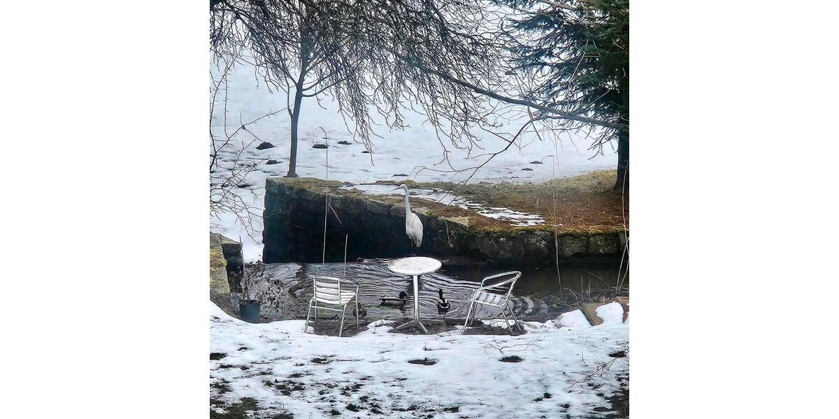 Mehrfamilienhaus, Wohnhaus Zell im Fichtelgebirge - 9 Zimmer, 215 m&sup2;, 240.000&euro; | Angebot:26421543