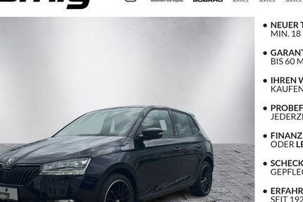 Skoda Fabia 56.810 km 15.490 &euro; Plauen 08527