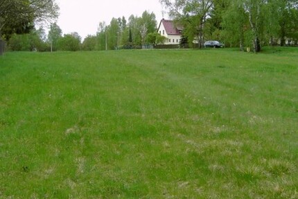 Gut gelegenes Grundstück - Grundstück Adorf | Angebot:19801113