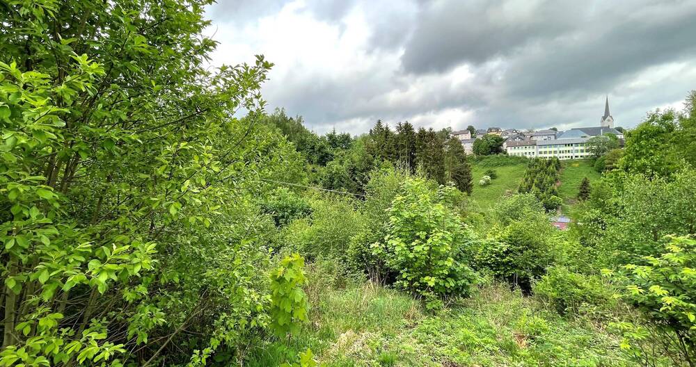 Grundstück Nordhalben - 29.000&euro; | Angebot:25734049