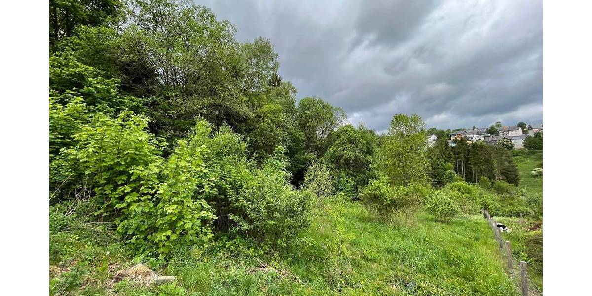 Grundstück Nordhalben - 29.000&euro; | Angebot:25734049