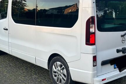 Opel Vivaro 123.684 km 22.000 &euro; Oberkotzau 95145