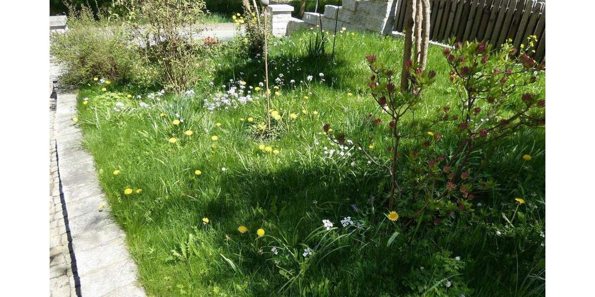 Einfamilienhaus Saalburg-Ebersdorf Friesau - 2 Zimmer, 470 m&sup2;, 298.000&euro; | Angebot:25731035