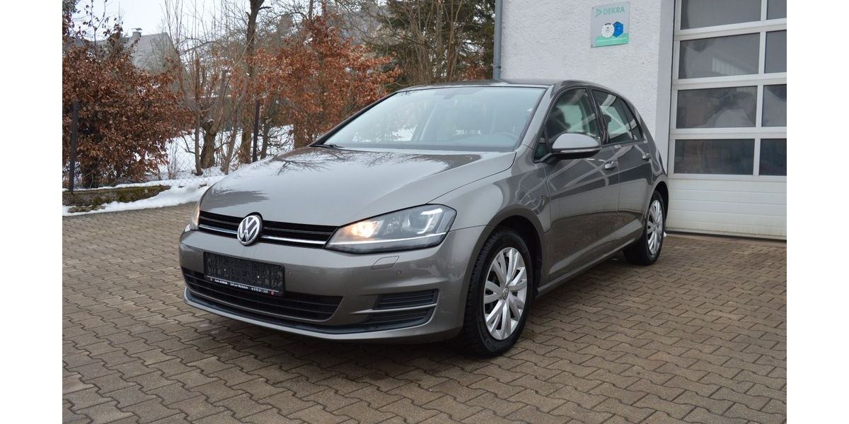 VW Golf 119.875 km 10.900 &euro; Zell 95239