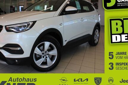 Opel Grandland (X) 46.571 km 17.490 &euro; Hof 95032
