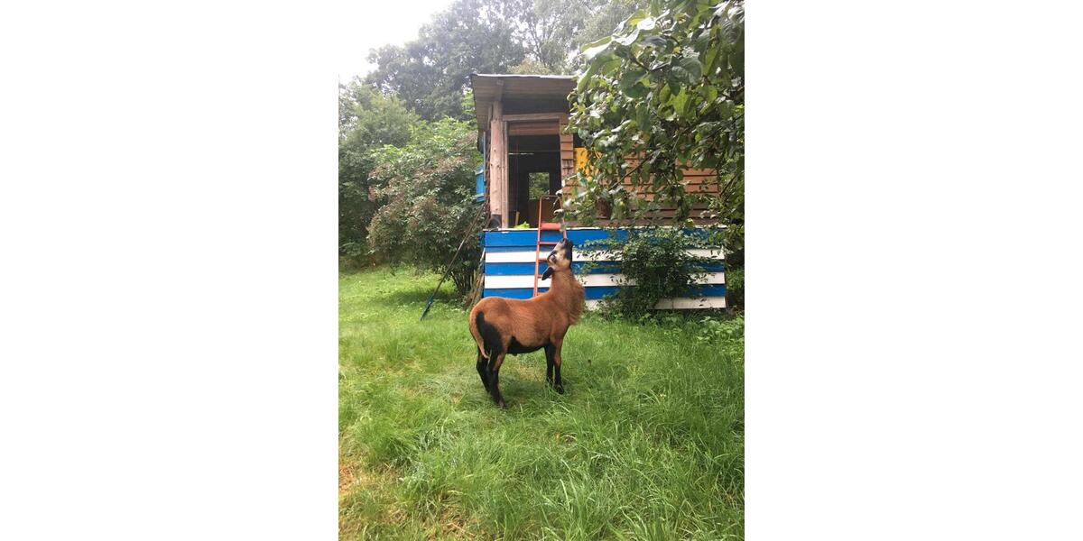 Bauernhaus, Landhaus Gefell - 12 Zimmer, 300 m&sup2;, 370.000&euro; | Angebot:25803486