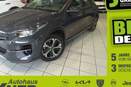 Kia XCeed 53.652 km 18.450 &euro; Hof 95032