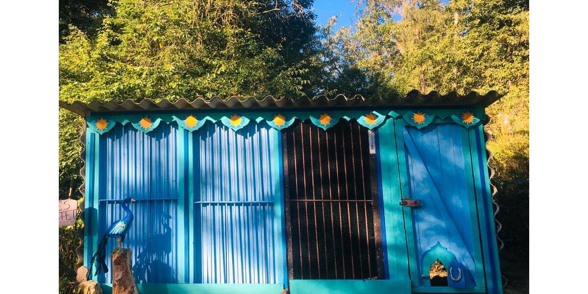 Bauernhaus, Landhaus Gefell - 12 Zimmer, 300 m&sup2;, 370.000&euro; | Angebot:25803486