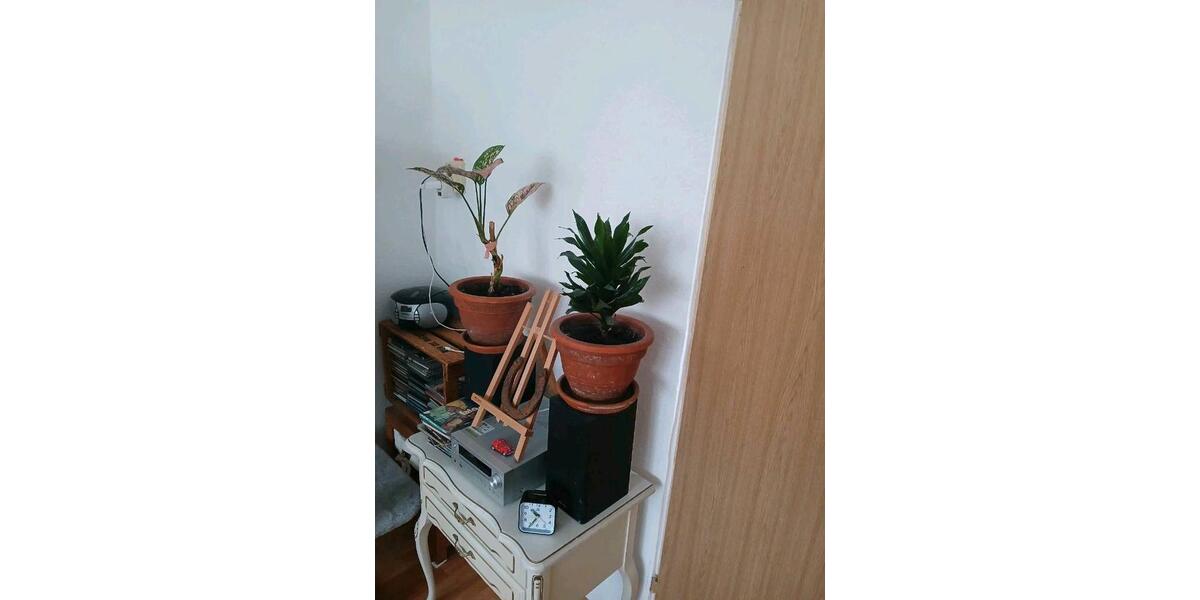 Etagenwohnung Adorf/Vogtland Vogtland - 2 Zimmer, 50 m&sup2;, 350&euro; | Angebot:25964134