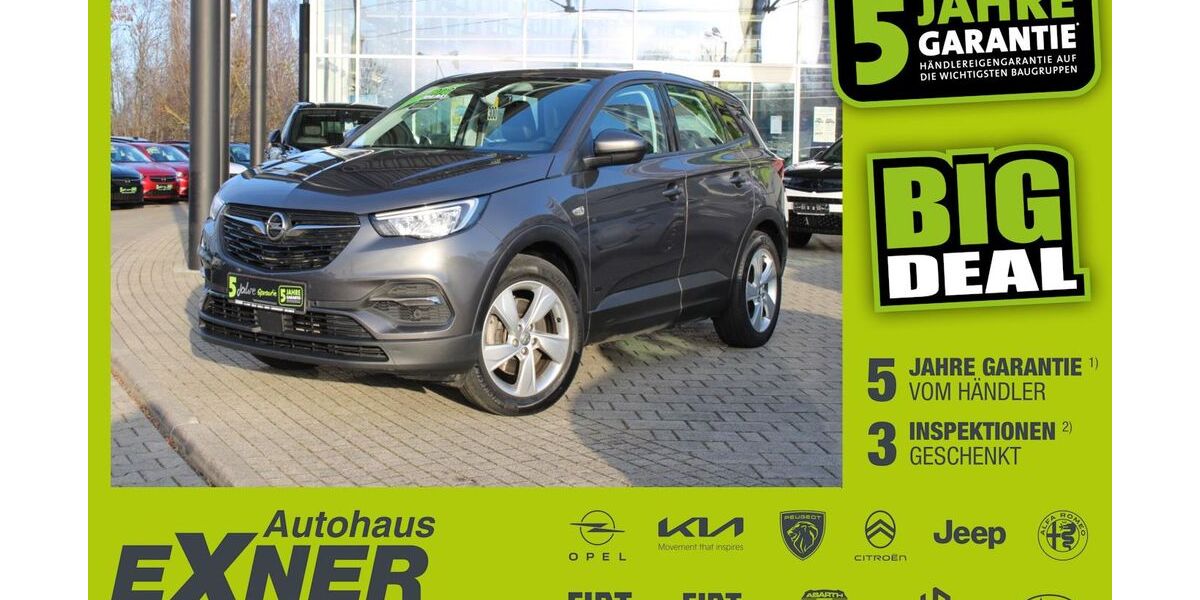 Opel Grandland (X) 50.629 km 16.900 &euro; Hof 95032